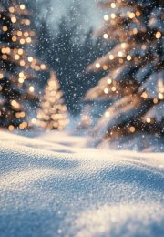 Рецензия на книгу «Снежная ловушка мистера Куина» Бенедикта Брауна