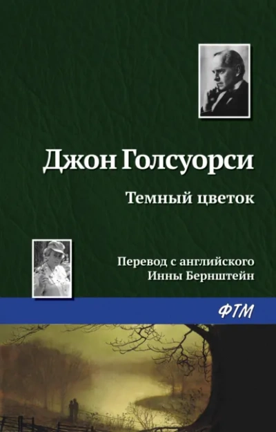 Темный Цветок - Джон Голсуорси